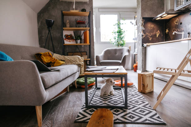 A Practical Cleaning Routine for Pet Owners in Small Spaces